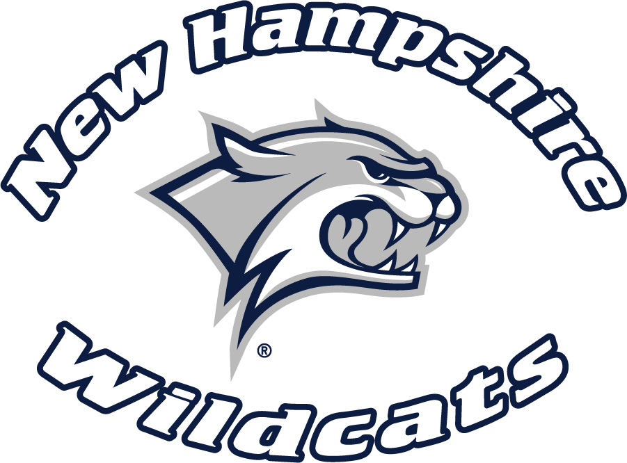 New Hampshire Wildcats 2000-2019 Wordmark Logo diy iron on heat transfer...